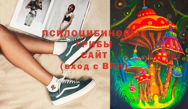 МДПВ Алексеевка