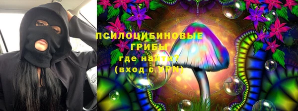 МДПВ Алексеевка