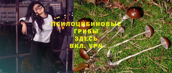 МДПВ Алексеевка
