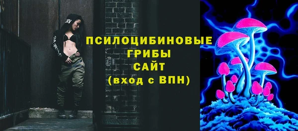 соль ск Алзамай
