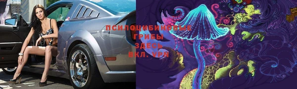 соль ск Алзамай