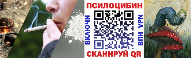 Псилоцибиновые грибы Cubensis  цена   кракен tor  Балабаново 