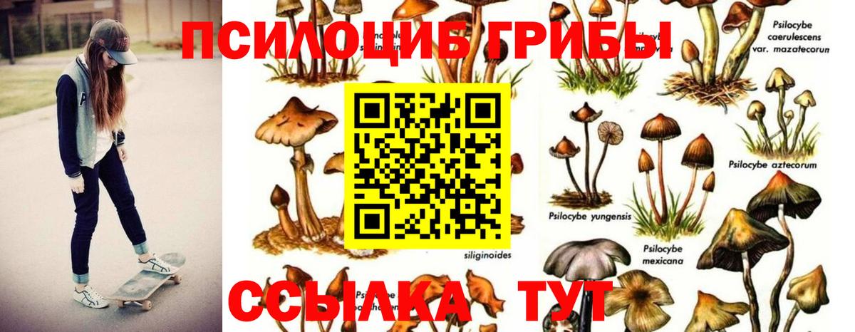 Балабаново  Галлюциногенные грибы GOLDEN TEACHER  Псилоцибиновые грибы Psilocybe  Вход с VPN 